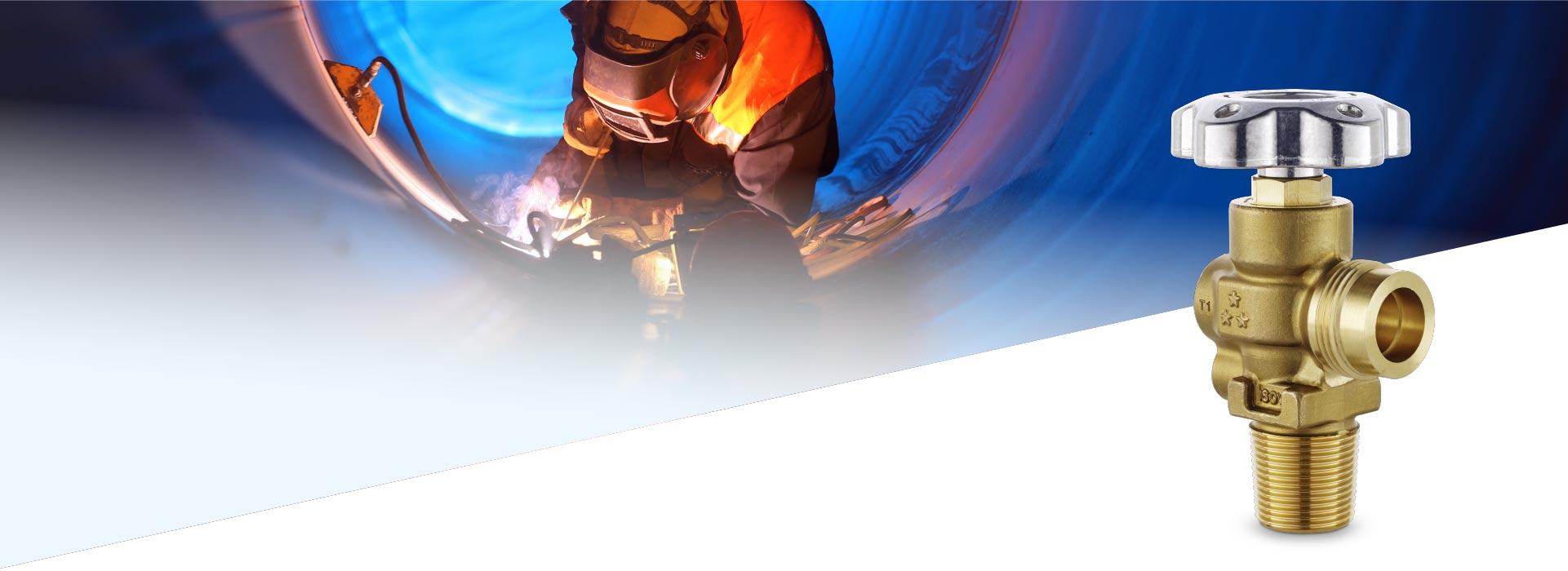 Industrial Valves Category Industrial Valves Category